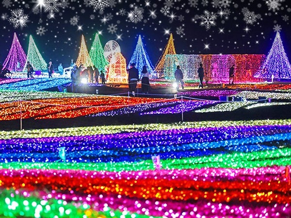 【千葉】<土日祝日限定出発>2大テーマパーク!マザー牧場イルミネーション&鴨川シーワールド&はちみつ工房2